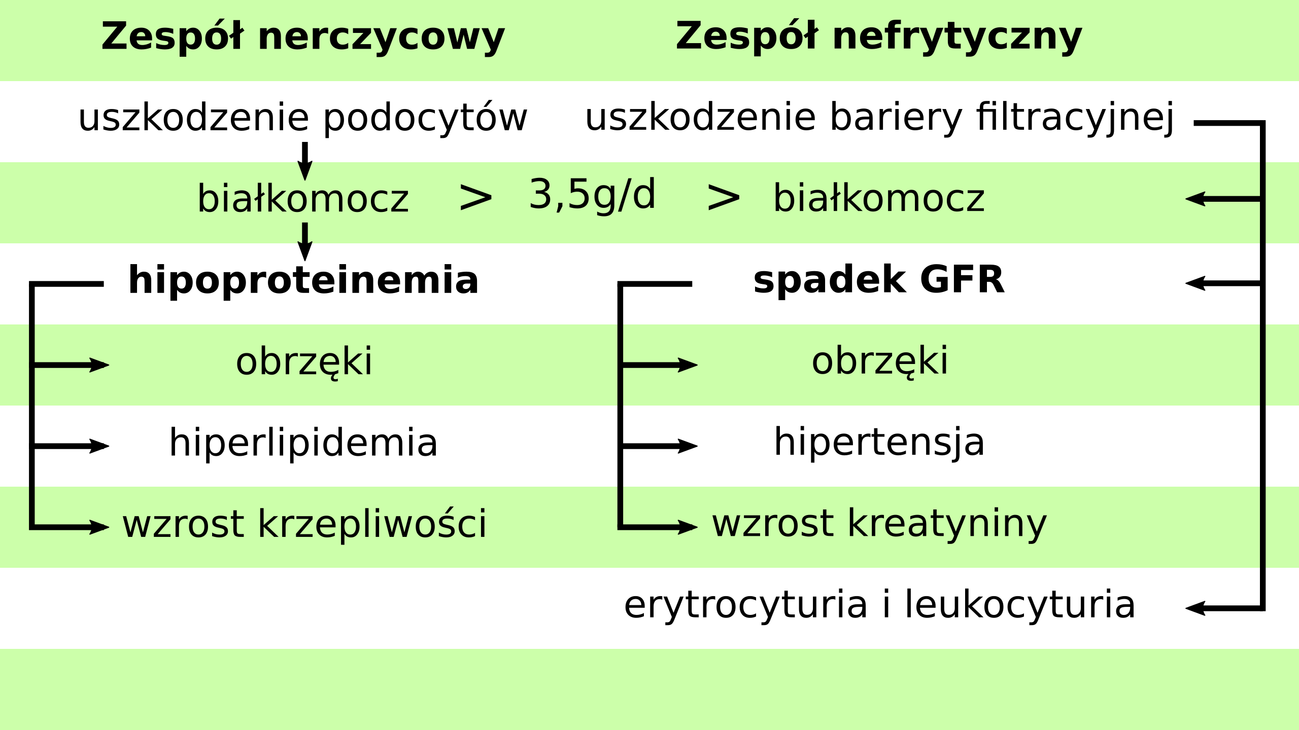 Zespół nerczycowy a zespół nefrytyczny [Lekarski Egzamin Końcowy, ChW