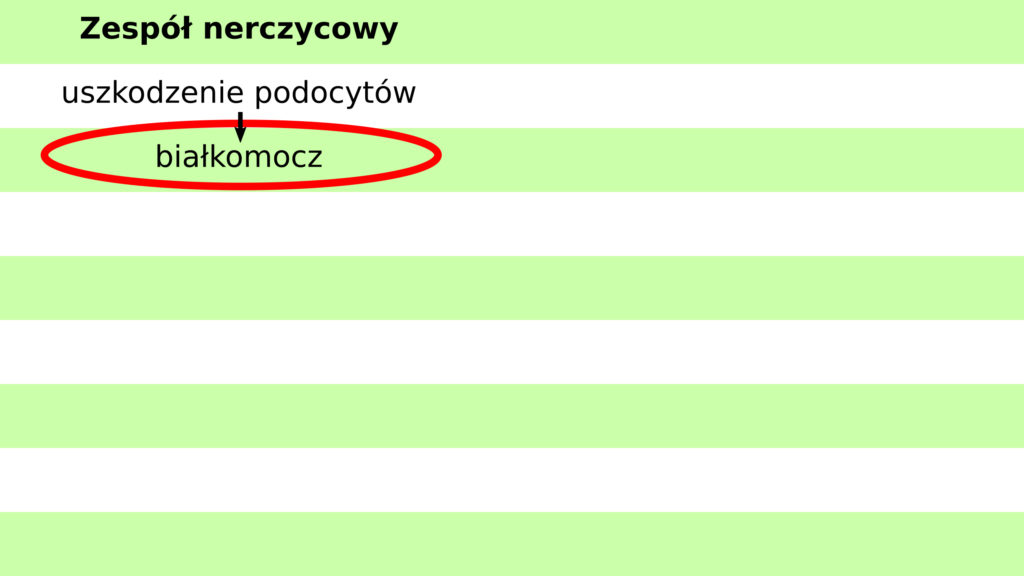 Zespół Nerczycowy A Zespół Nefrytyczny Lekarski Egzamin Końcowy Chw Pyt 26 Krzysztof Wernicki 9462