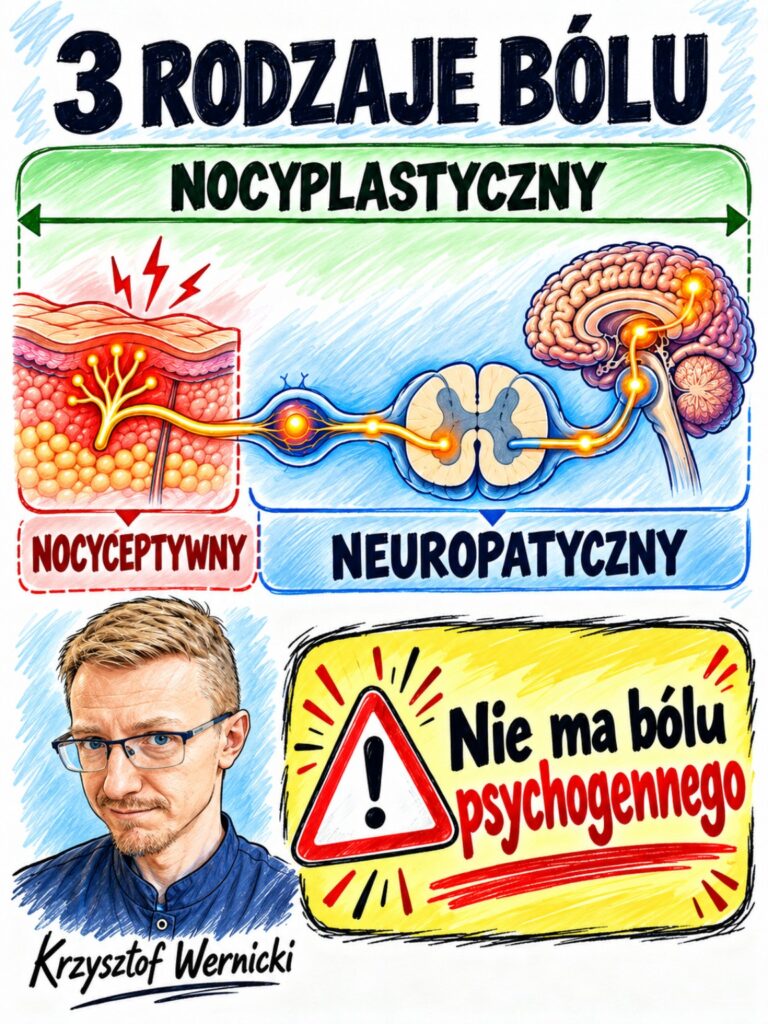 Trzy rodzaje bólu: nocyceptywny, neuropatyczny i nocyplastyczny. Ból psychogenny nie jest osobnym mechanizmem bólu.